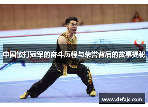 中国散打冠军的奋斗历程与荣誉背后的故事揭秘