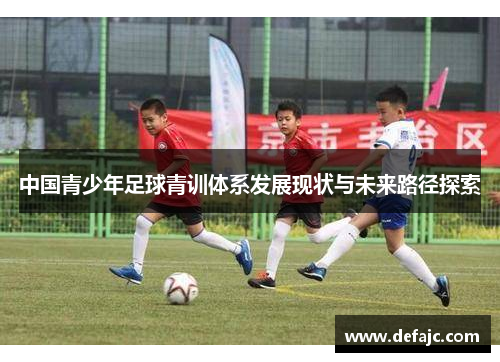 中国青少年足球青训体系发展现状与未来路径探索